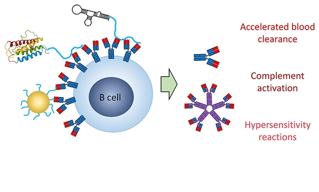 The Future of Polyethylene Glycol 3350: Potential New Applications