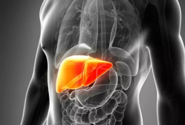 The Importance of Support Systems for Liver Cancer Patients