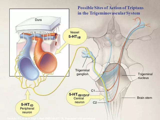 The Science Behind Triamcinolone: Understanding Its Mechanism of Action