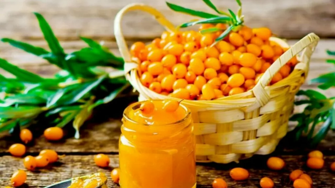 From Skincare to Immunity Boosting: The Many Uses of Sea Buckthorn