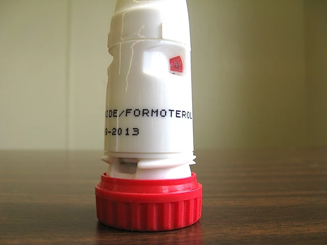 Budesonide Formoterol and Diet: Foods to Help Manage Asthma